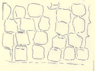 fimg_07