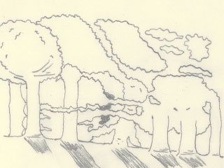 fimg_50
