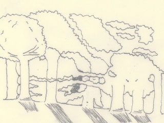 fimg_51